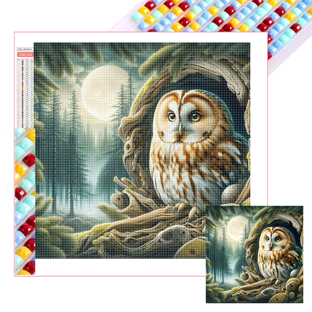 Diamond Painting - Full Square - Owl (40*40CM)