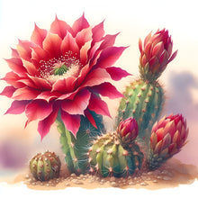 Load image into Gallery viewer, Diamond Painting - Full Round - Cactus flowers (30*30CM)
