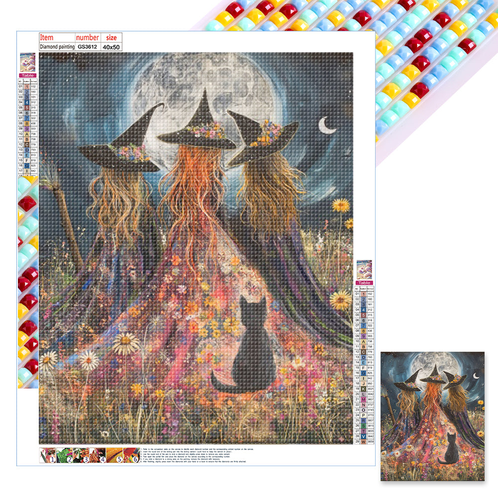 Diamond Painting - Full Square - Witch (40*50CM)