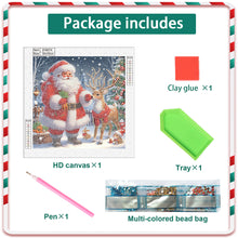 Load image into Gallery viewer, Diamond Painting - Partial Special Shaped - Santa Claus (30*30CM)
