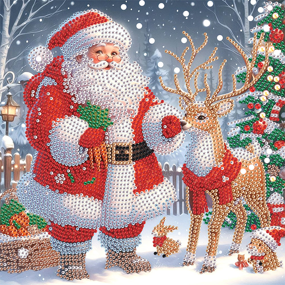 Diamond Painting - Partial Special Shaped - Santa Claus (30*30CM)