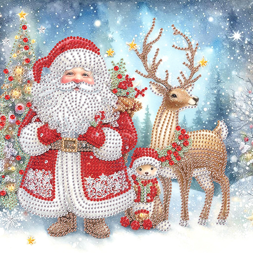 Diamond Painting - Partial Special Shaped - Santa Claus (30*30CM)