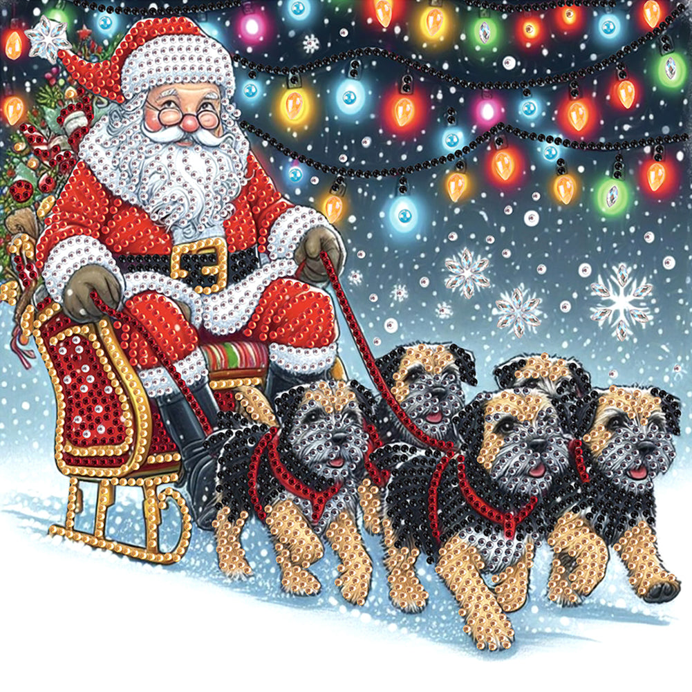 Diamond Painting - Partial Special Shaped - Santa Claus (30*30CM)
