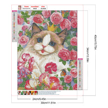 Load image into Gallery viewer, Diamond Painting - Full Round - Rose ragdoll cat (30*40CM)
