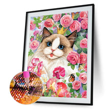 Load image into Gallery viewer, Diamond Painting - Full Round - Rose ragdoll cat (30*40CM)
