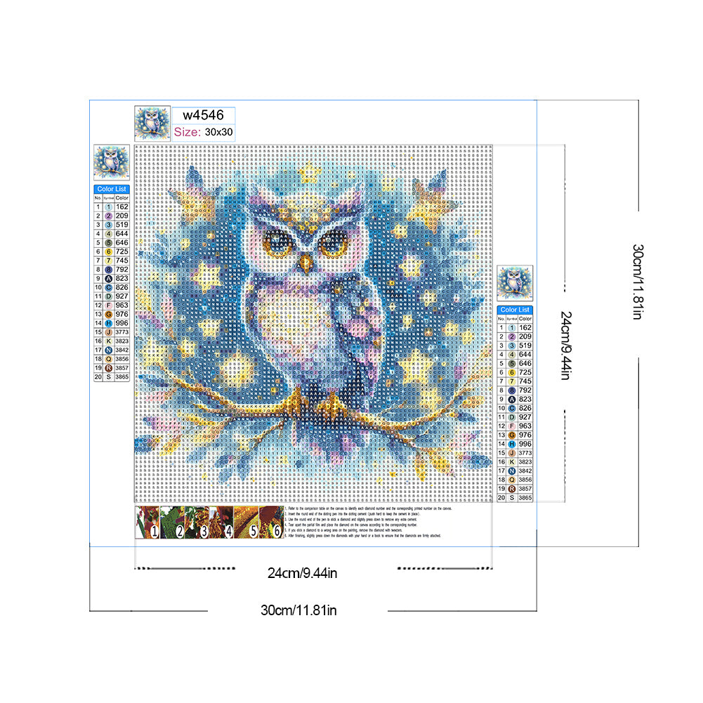 Diamond Painting - Full Round - Owl (30*30CM)