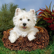 Load image into Gallery viewer, Diamond Painting - Full Round - West Highland White Terrier (40*40CM)
