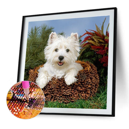 Diamond Painting - Full Round - West Highland White Terrier (40*40CM)