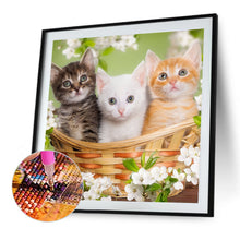 Load image into Gallery viewer, Diamond Painting - Full Round - Three cats (40*40CM)
