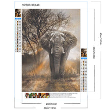 Load image into Gallery viewer, Diamond Painting - Full Round - Elephant (30*40CM)
