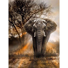 Load image into Gallery viewer, Diamond Painting - Full Round - Elephant (30*40CM)
