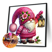 Load image into Gallery viewer, Diamond Painting - Full Round - Gnome (30*30CM)
