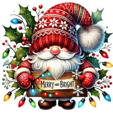 Load image into Gallery viewer, Diamond Painting - Full Round - Christmas Gnome (30*30CM)
