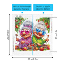 Load image into Gallery viewer, Diamond Painting - Partial Special Shaped - Cute Grandma (30*30CM)
