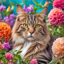 Load image into Gallery viewer, Diamond Painting - Full Round - Cat (50*50CM)
