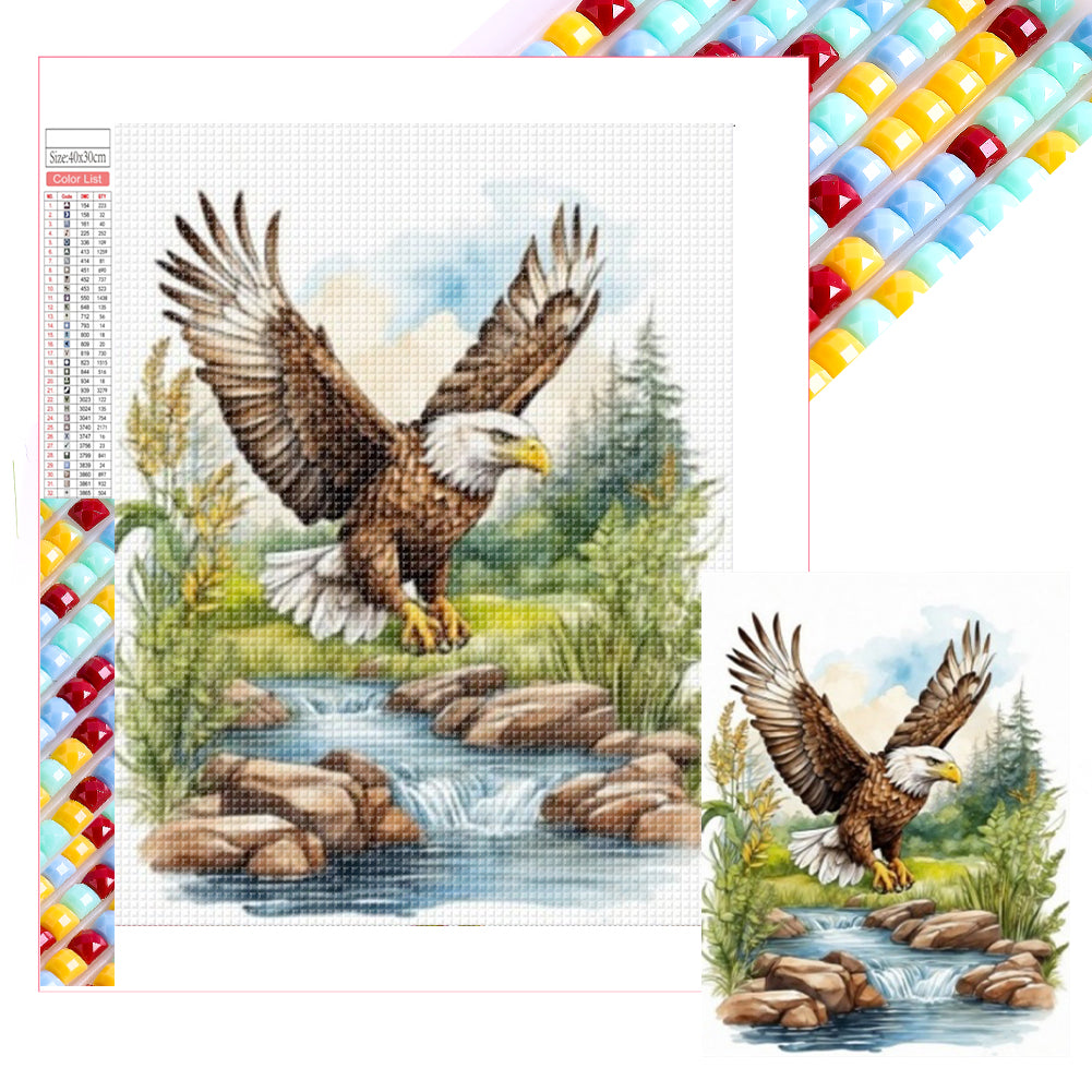 Diamond Painting - Full Square - Eagle (30*40CM)