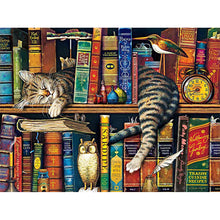 Load image into Gallery viewer, Diamond Painting - Full Round - Cat on bookshelf (40*30CM)
