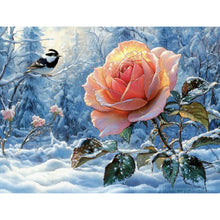 Load image into Gallery viewer, Diamond Painting - Full Square - Snow rose (40*30CM)
