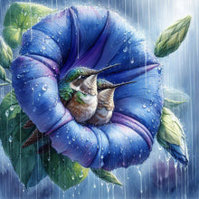 Load image into Gallery viewer, Diamond Painting - Full Round - Blooming hummingbird (30*30CM)
