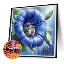 Load image into Gallery viewer, Diamond Painting - Full Round - Blooming hummingbird (30*30CM)
