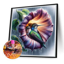 Load image into Gallery viewer, Diamond Painting - Full Round - Blooming hummingbird (30*30CM)
