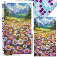 Load image into Gallery viewer, Diamond Painting - Full Round - Daisy field (40*70CM)
