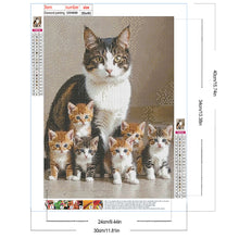 Load image into Gallery viewer, Diamond Painting - Full Round - Cat (30*40CM)

