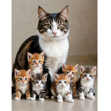 Load image into Gallery viewer, Diamond Painting - Full Round - Cat (30*40CM)
