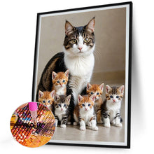 Load image into Gallery viewer, Diamond Painting - Full Round - Cat (30*40CM)
