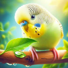 Load image into Gallery viewer, Diamond Painting - Full Round - Parrot (30*30CM)
