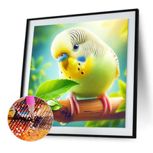 Load image into Gallery viewer, Diamond Painting - Full Round - Parrot (30*30CM)
