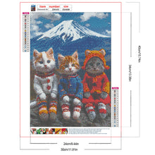Load image into Gallery viewer, Diamond Painting - Full Round - Snow mountain cat (30*40CM)
