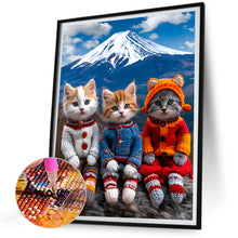 Load image into Gallery viewer, Diamond Painting - Full Round - Snow mountain cat (30*40CM)
