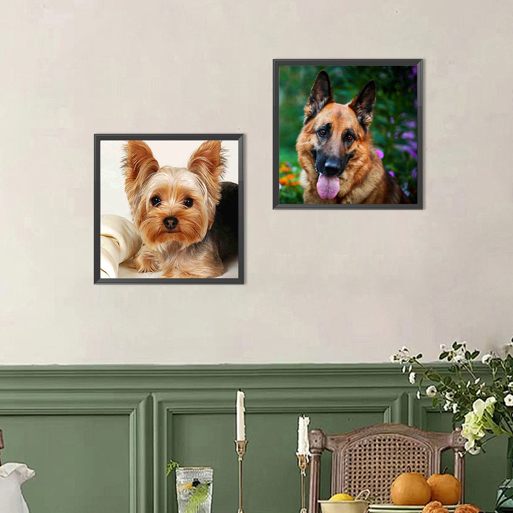 2pcs Round Diamond Painting Set - Animal series (30*30CM)