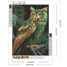 Load image into Gallery viewer, Diamond Painting - Full Round - Owl (30*40CM)
