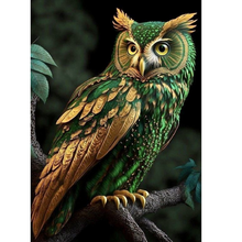 Load image into Gallery viewer, Diamond Painting - Full Round - Owl (30*40CM)
