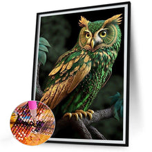 Load image into Gallery viewer, Diamond Painting - Full Round - Owl (30*40CM)
