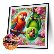 Load image into Gallery viewer, Diamond Painting - Full Round - Macaw (30*30CM)

