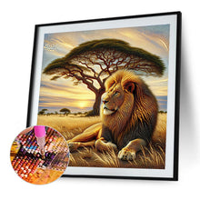 Load image into Gallery viewer, Diamond Painting - Full Round - Sunset lion (40*40CM)
