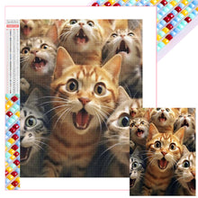 Load image into Gallery viewer, Diamond Painting - Full Square - Cat (30*40CM)
