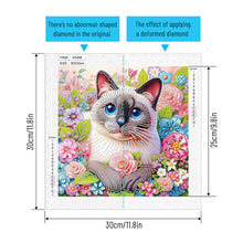 Load image into Gallery viewer, Diamond Painting - Partial Special Shaped - Cat (30*30CM)
