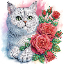 Load image into Gallery viewer, Diamond Painting - Partial Special Shaped - Cat (30*30CM)
