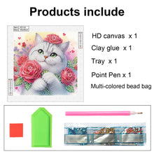 Load image into Gallery viewer, Diamond Painting - Partial Special Shaped - Cat (30*30CM)
