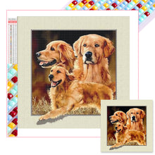 Load image into Gallery viewer, Diamond Painting - Full Square - Golden retriever (40*40CM)
