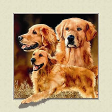 Load image into Gallery viewer, Diamond Painting - Full Square - Golden retriever (40*40CM)
