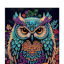 Load image into Gallery viewer, Special Shaped Owl 50 Pages Diamond Painting Notebook for Adults Students
