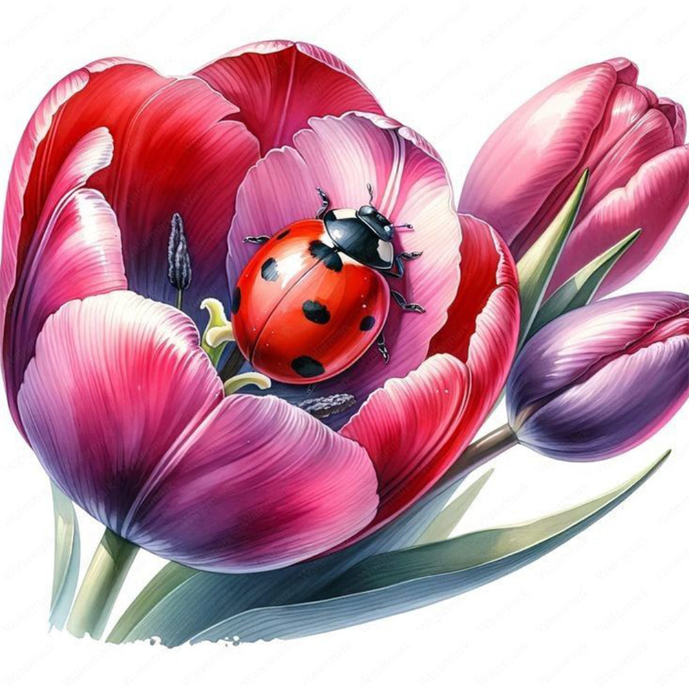 Diamond Painting - Full Round - Tulip and insect (30*30CM)