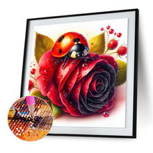 Load image into Gallery viewer, Diamond Painting - Full Round - Red rose and insect (30*30CM)
