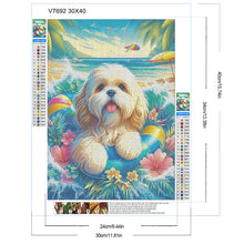 Load image into Gallery viewer, Diamond Painting - Full Round - Beach Dog (30*40CM)
