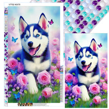 Load image into Gallery viewer, Diamond Painting - Full Round - Husky (40*70CM)
